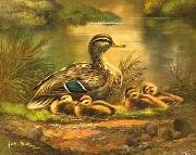 unknow artist Ducks 101 china oil painting reproduction